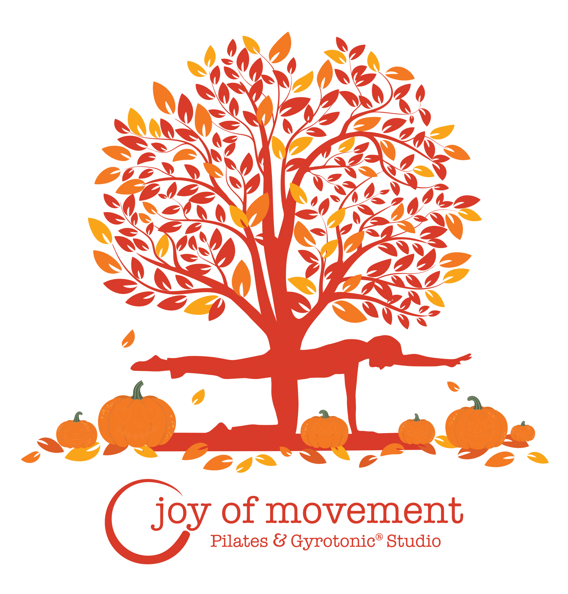 Joy of Movement Gyrotonic and Pilates Studio Joy of Movement Gyrotonic and Pilates Studio