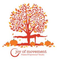 Joy of Movement Gyrotonic and Pilates Studio Joy of Movement Gyrotonic and Pilates Studio