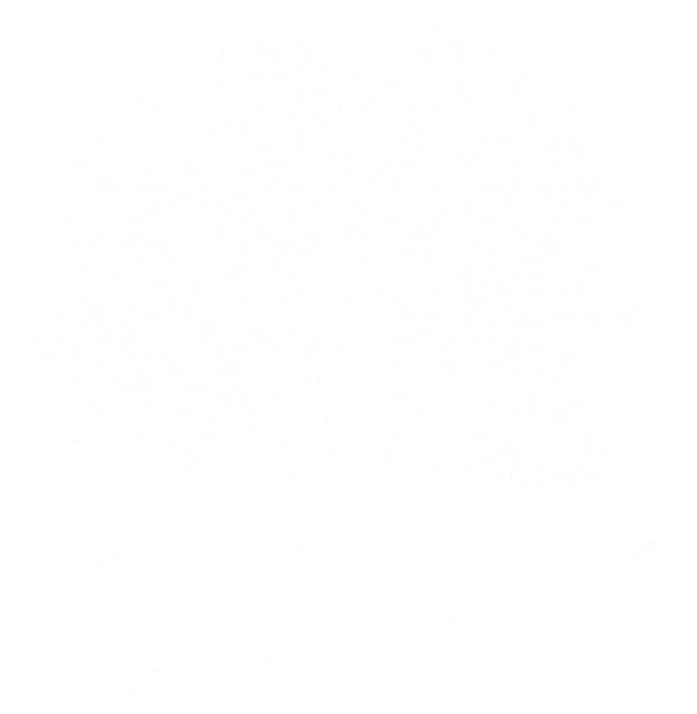 White background.